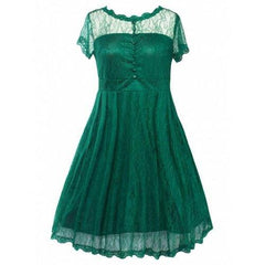 Buttoned Swing Vintage Plus Size A Line Lace Dress - Green 5xl