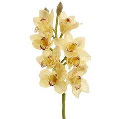 Pack of 6 Artificial Soft Yellow Cymbidium Orchid Silk Flower Sprays 28.5"