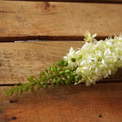 37" Light Green Artificial Foxtail Decorative Floral Crafting Stem
