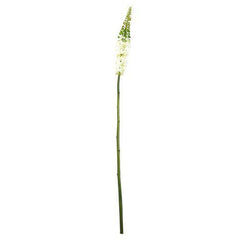 37" Light Green Artificial Foxtail Decorative Floral Crafting Stem