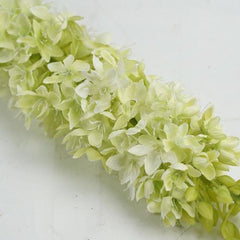 44" Light Green Artificial Foxtail Decorative Floral Crafting Stem