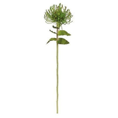 26" Green Artificial Pin Cushion Protea Decorative Floral Crafting Stem
