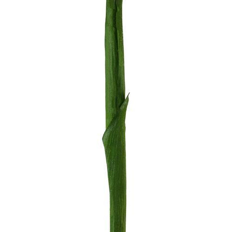 28" Yellow and Green Artificial Ginger Flower Decorative Floral Crafting Stem