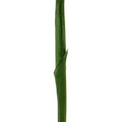28" Yellow and Green Artificial Ginger Flower Decorative Floral Crafting Stem