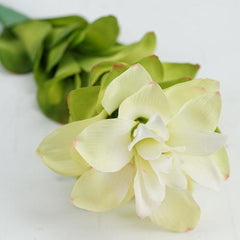 30" Cream White and Green Artificial Torch Ginger Flower Decorative Floral Crafting Stem