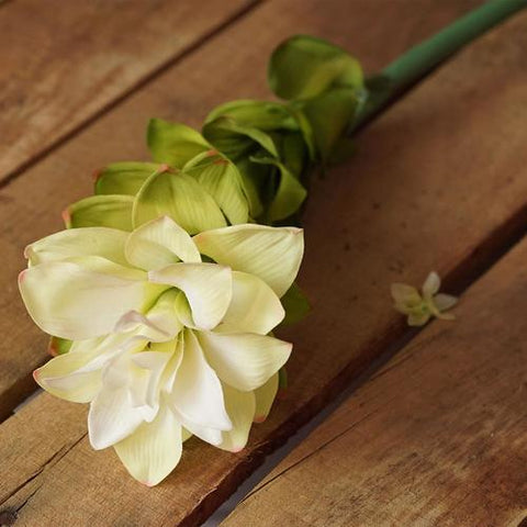 30" Cream White and Green Artificial Torch Ginger Flower Decorative Floral Crafting Stem