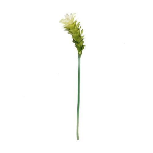 30" Cream White and Green Artificial Torch Ginger Flower Decorative Floral Crafting Stem