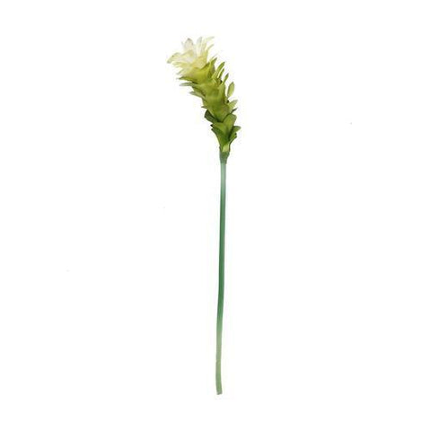 30" Cream White and Green Artificial Torch Ginger Flower Decorative Floral Crafting Stem