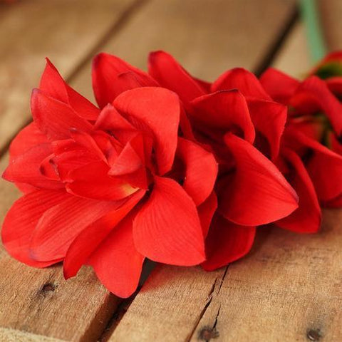 30" Red Artificial Torch Ginger Flower Decorative Floral Crafting Stem