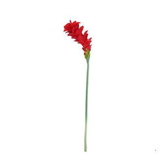 30" Red Artificial Torch Ginger Flower Decorative Floral Crafting Stem