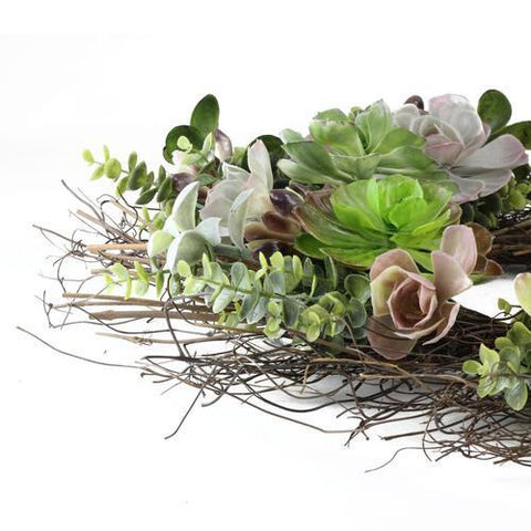 22" Decorative Succulent Mix Spiral Vine Artifial Wreath - Unlit