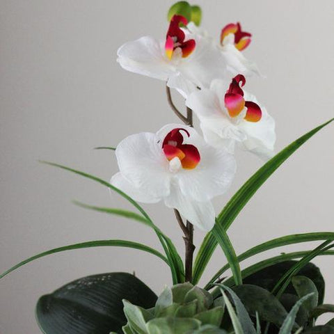 12" Spring Time Easter Orchid and Succulents Artificial Floral Arrangement