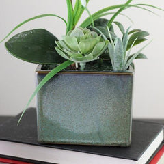 12" Spring Time Easter Orchid and Succulents Artificial Floral Arrangement