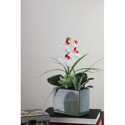 12" Spring Time Easter Orchid and Succulents Artificial Floral Arrangement