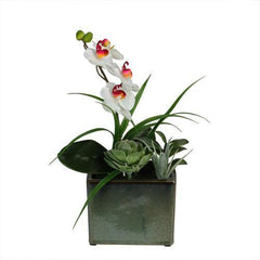 12" Spring Time Easter Orchid and Succulents Artificial Floral Arrangement