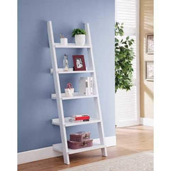 Ladder Bookcase