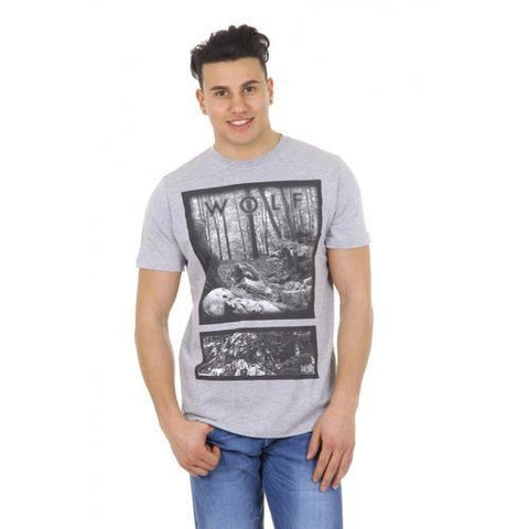 Grey S Diesel mens t-shirt T-URBI 00SC3X 0EADQ 912