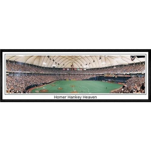 Minnesota Twins Homer Hankey Heaven"  - 13.5"x39" Standard Black Frame"