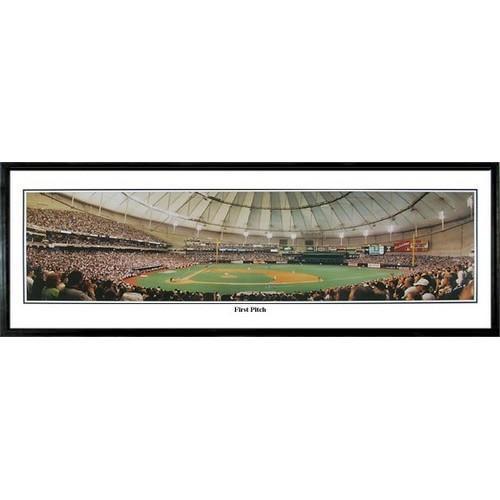 Tampa Bay Devil Rays 1st Pitch"  - 13.5"x39" Standard Black Frame"