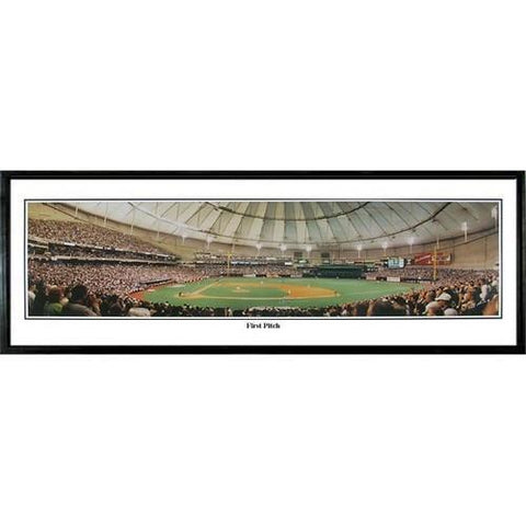 Tampa Bay Devil Rays 1st Pitch"  - 13.5"x39" Standard Black Frame"