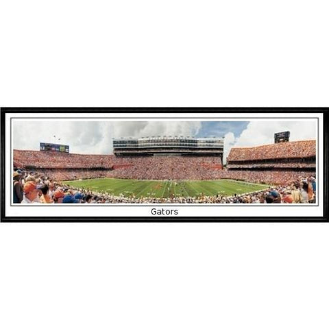 Florida Gators Gators"  - 13.5"x39" Standard Black Frame"