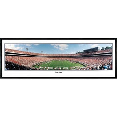 Georgia Bulldogs End Zone" - 13.5"x39" Standard Black Frame"