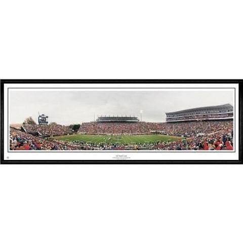 Mississippi Rebels 44 Yard Line"  - 13.5"x39" Standard Black Frame"