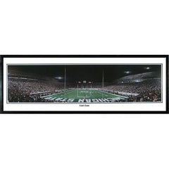 Michigan State Spartans End Zone" - 13.5"x39" Standard Black Frame"