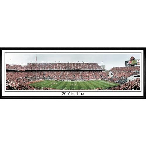 Ohio State Buckeyes 20 Yard Line"  - 13.5"x39" Standard Black Frame"