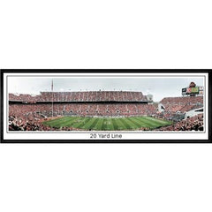 Ohio State Buckeyes 20 Yard Line"  - 13.5"x39" Standard Black Frame"