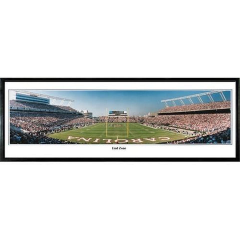 South Carolina Gamecocks End Zone" - 13.5"x39" Standard Black Frame"