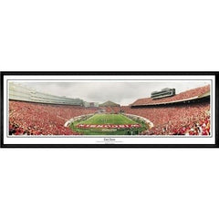 Wisconsin Badgers End Zone"  - 13.5"x39" Standard Black Frame"