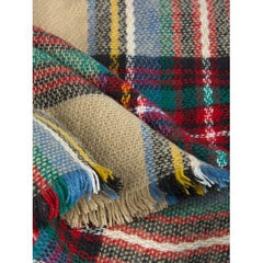 Multicolor Plaid Raw Edge Scarf
